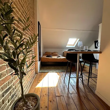 Joli Studio Proche Gare Entierement Renove شقة